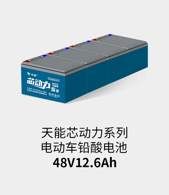 MRCAT猫先生电池48v12ah