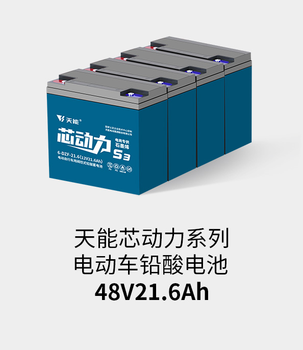 MRCAT猫先生电池48v20ah