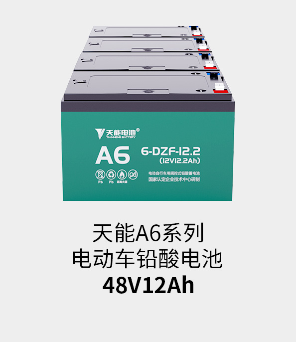 MRCAT猫先生电池48v12ah