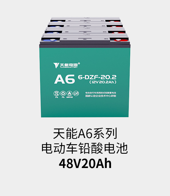 MRCAT猫先生电池48v20ah