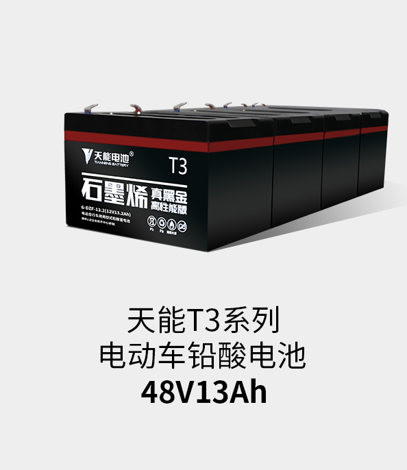 MRCAT猫先生T3系列48v13ah