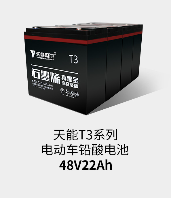 MRCAT猫先生T3系列48v22ah